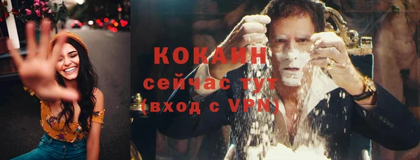 прущая мука Богородицк