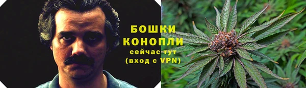 СК Богданович
