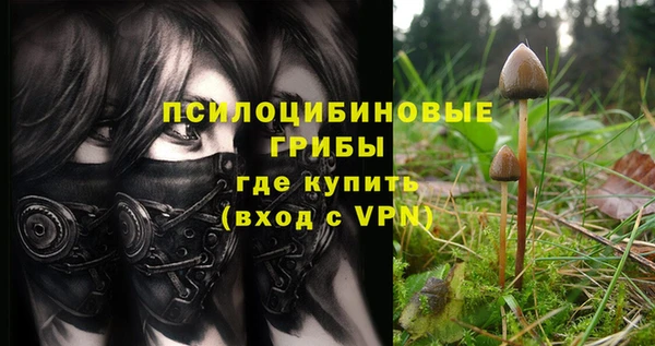 мескалин Богородск
