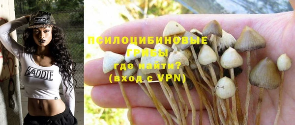 СК Богданович